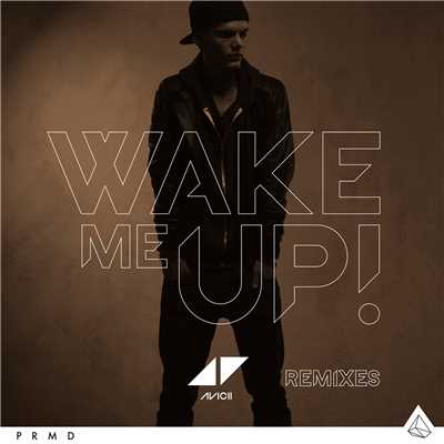 アルバム/Wake Me Up (Remixes)/アヴィーチー