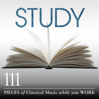 J.S. Bach: ヴァイオリン協奏曲 第2番 ホ長調 BWV1042: 第1楽章: Allegro/ユリア・フィッシャー／アカデミー・オブ・セント・マーティン・イン・ザ・フィールズ
