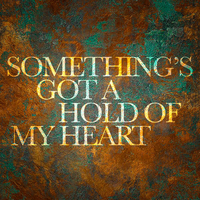シングル/Something's Got a Hold of My Heart/Bonnie Raitt