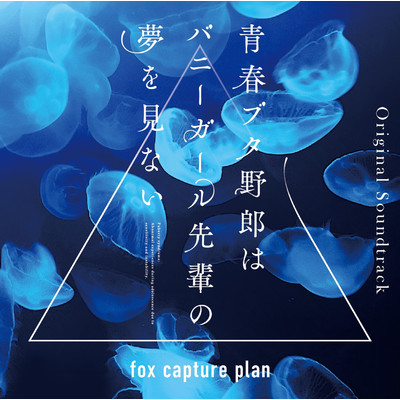 水平線/fox capture plan