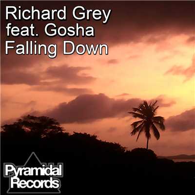 シングル/Falling Down (feat. Gosha)/Richard Grey