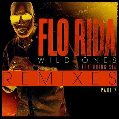 Wild Ones (feat. Sia) [J.O.B Rock Rework]/Flo Rida