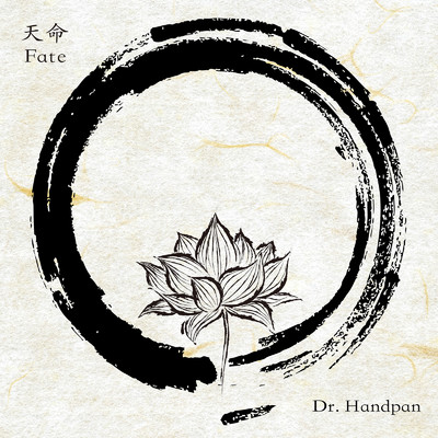 天命/Dr.Handpan