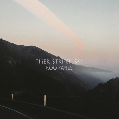 アルバム/Tiger Striped Sky/Roo Panes