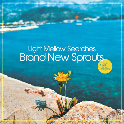 アルバム/Light Mellow Searches - Brand New Sprouts/Various Artists