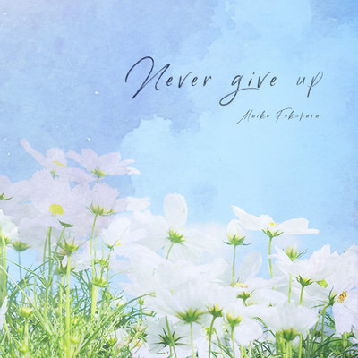 アルバム/Never give up/福原 真衣子