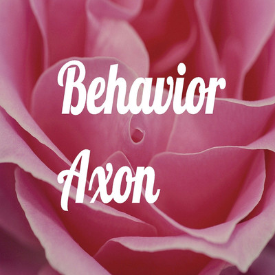アルバム/Behavior Axon/Pain associate sound