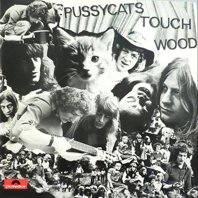 アルバム/Touch Wood/The Pussycats