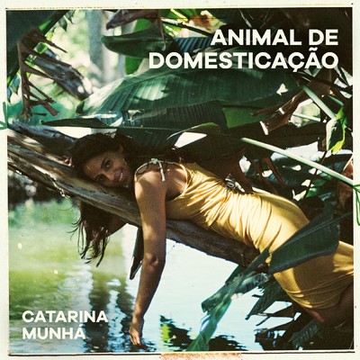 Animal de Domesticacao/Catarina Munha