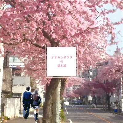 オオカンザクラの並木道/平安桜