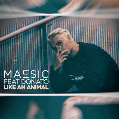 シングル/Like An Animal (Explicit) (featuring Donato)/Maesic