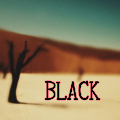 BLACK/sato
