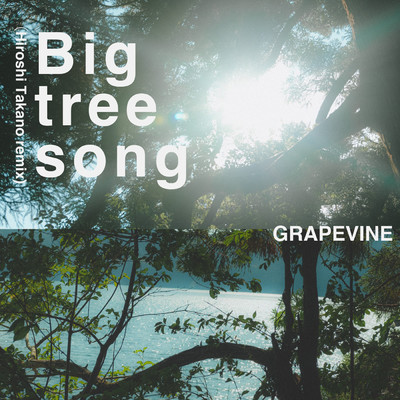 シングル/Big tree song(Hiroshi Takano remix)/GRAPEVINE