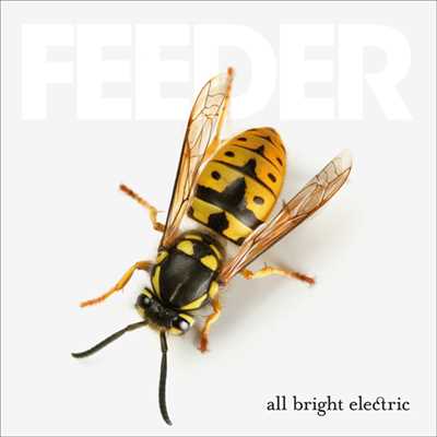 アルバム/オール・ブライト・エレクトリック/Feeder