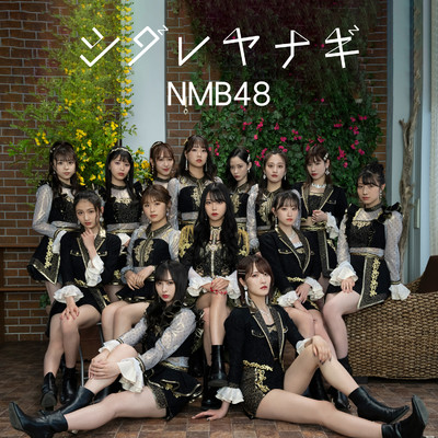 シングル/青いレモンの季節/NMB48
