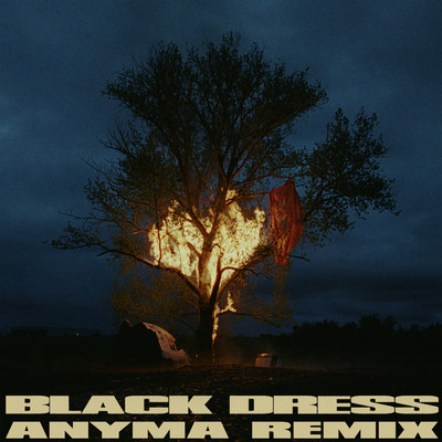シングル/Black Dress/070シェイク