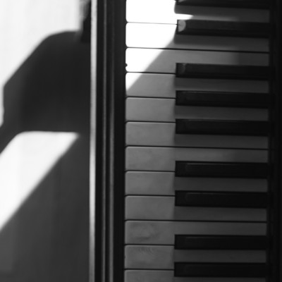 Nocturne (piano at home ver.)/Rui Fujishiro