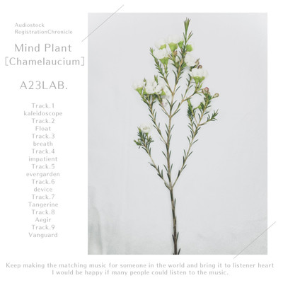Mind Plant[Chamelaucium]/A23LAB.