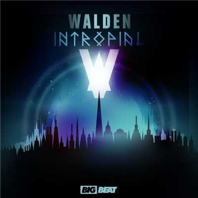 シングル/Intropial (Original Mix)/Walden