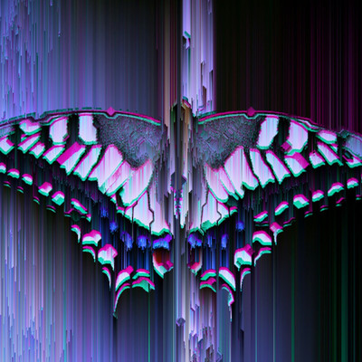 Butterfly/Zukkoke05