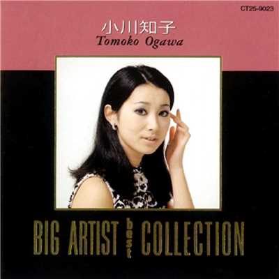 アルバム/BIG ARTIST BEST COLLECTION／小川知子/小川知子