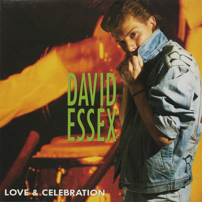 シングル/LOVE & CELEBRATION (Instrumental)/DAVID ESSEX