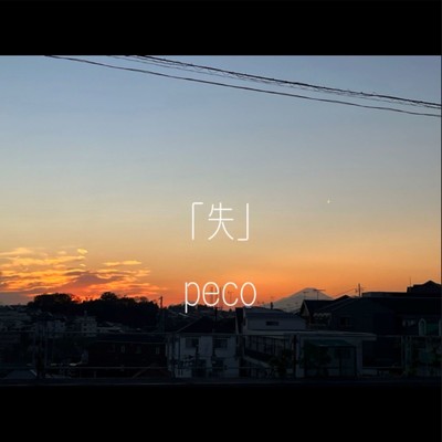 アルバム/失/peco