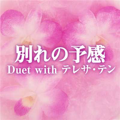 別れの予感 Duet with テレサ・テン/夏川りみ／テレサ・テン