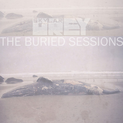 アルバム/The Buried Sessions of Skylar Grey/スカイラー・グレイ