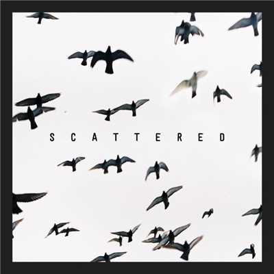 シングル/Scattered/Xavier Dunn