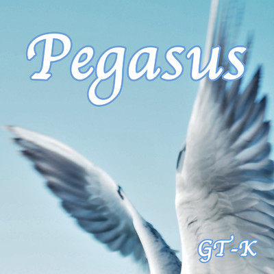 シングル/Pegasus/GT-K