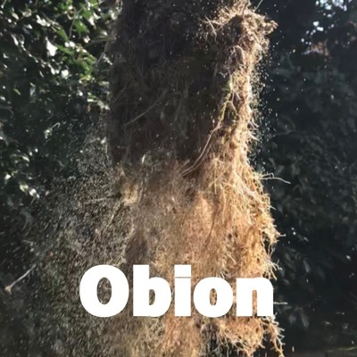 アルバム/Supernatural/Obion