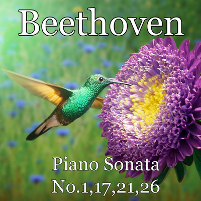 アルバム/Piano Sonata No.1,17,21,26/Pianozone , ルートヴィヒ・ヴァン・ベートーヴェン