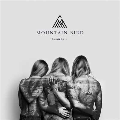 シングル/Youth Blood/Mountain Bird