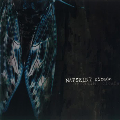 cicada/NAPSKINT & project of napskint