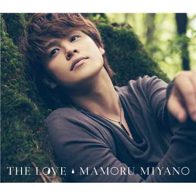 EVER LOVE/宮野真守