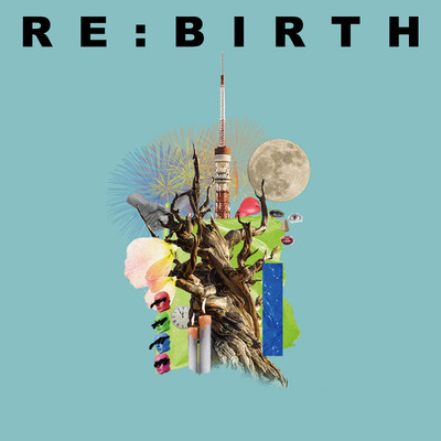 RE:BIRTH/Ivy to Fraudulent Game