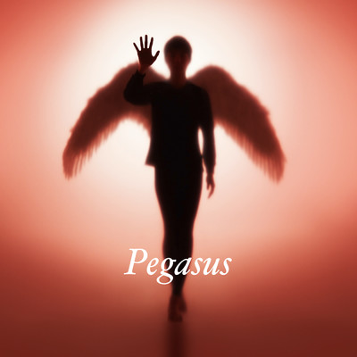 アルバム/Pegasus/布袋寅泰