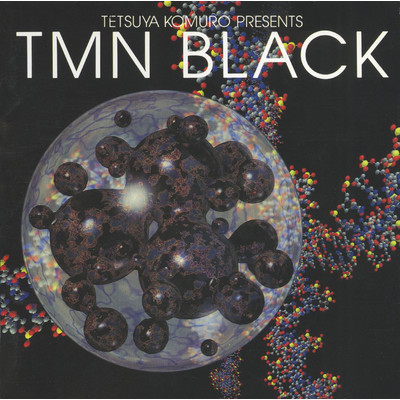 アルバム/Tetsuya Komuro Presents TMN black/TMN