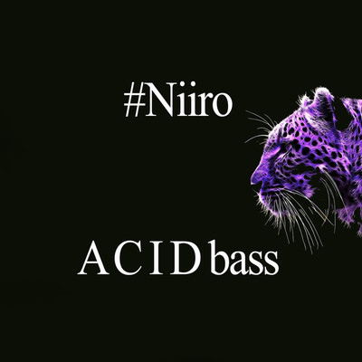 シングル/ACIDbase/Niiro_Epic_Psy