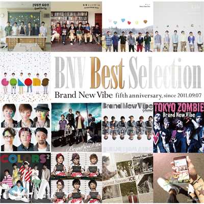 アルバム/BNV Best Selection/Brand New Vibe