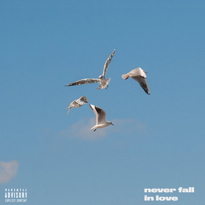シングル/Never Fall In Love/K-phax