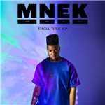 Wrote A Song About You/MNEK