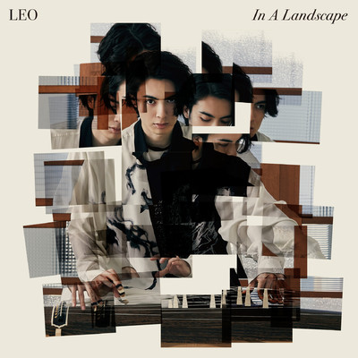 アルバム/In A Landscape/LEO