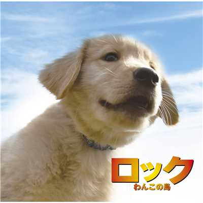 Dog Day Afternoon/吉俣 良