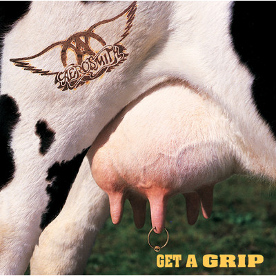 アルバム/Get A Grip/エアロスミス