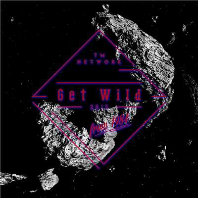 Get Wild 2015 -HUGE DATA- (Instrumental)/TM NETWORK