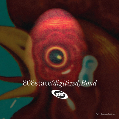 アルバム/Bond/808 State