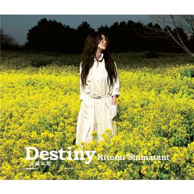 アルバム/Destiny -太陽の花-／恋水 -tears of love-/島谷ひとみ