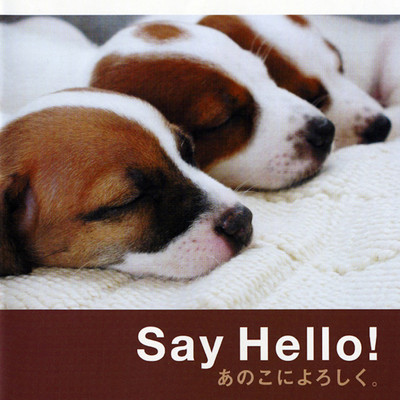 アルバム/Say Hello！ あのこによろしく。 (オリジナル・サウンドトラック)/菅野よう子